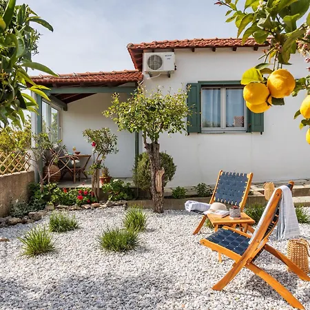 Cozy Garden House Casa vacanze *